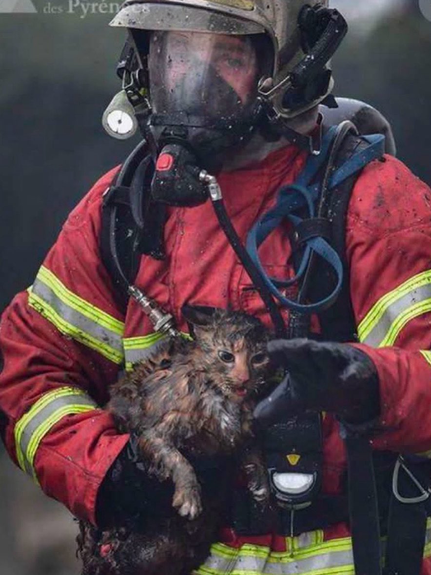 ElHamidine's tweet photo. Une pensée pour toutes les personnes touchées par ces incendies, pour nos aînés, les plus fragiles, les enfants, les animaux qui n’ont nulle part où fuir, et pour tous ceux qui ont perdu un morceau de leur vie.
Force, courage et profonde gratitude aux pompiers de Franc 
🇫🇷🚒❤ https://t.co/cC6vIiXnSv