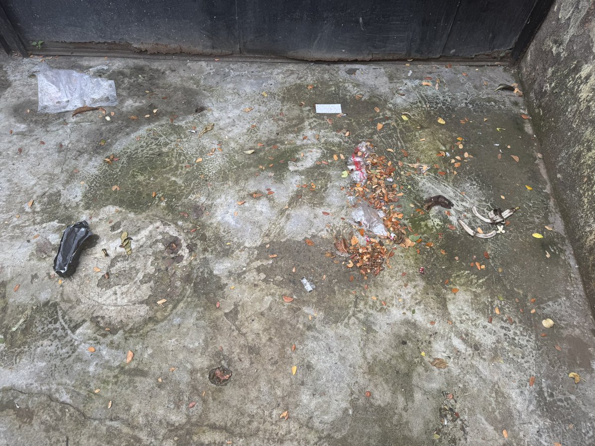 GlyrilP's tweet photo. @mybmc @mybmcWardGN @MumbaiPolice @TawdeRitu @Dev_Fadnavis @mieknathshinde Dear Team-Flat no 1,Cecil Lodge,69,BS RD,Dadar W,residents are deliberately littering our private spaces.Have escalated to BMC but no action yet. Please take action under Swachh Bharat https://t.co/MukwtMmCkH