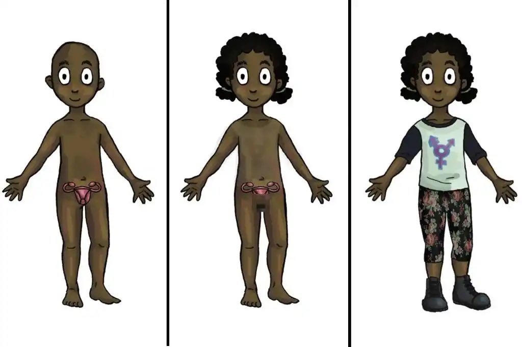 honeyybomb's tweet photo. Have you heard about the University of Minnesota’s taxpayer-funded “MyGender Dolls”?
Paper dolls with swappable genitalia headed into classrooms for 4-year-olds this fall.

Your tax dollars at work — literally teaching toddlers their body parts are optional.

This isn’t innocent play. 
It’s psychological damage.

85% of gender dysphoric kids naturally outgrow it without early reinforcement. These dolls lock in the confusion during the exact years when children can’t separate fantasy from reality.
They blur basic biology, make the confusion stick for 97% of kids, fuel anxiety and body hatred, and fast-track them toward lifelong medicalization and regret.

Stop experimenting on our kids.