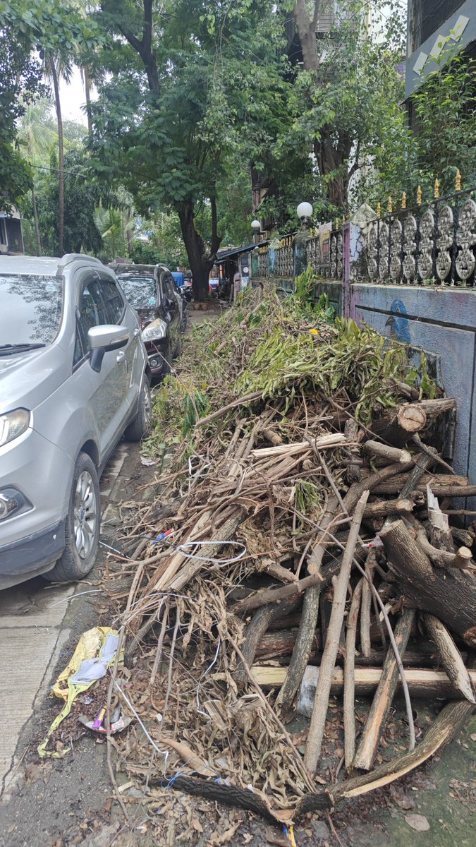 BhalavatKalpesh's tweet photo. @mybmcWardN  tree was cut 20 days ago by BMC and kept on foothpath but still not picked up. We have been complaining daily to garden department, but no action so far. Please action. Loc: Opp Dhanlakshmi, APJ Abdul Kalam High School Lane, Golibar Road, Ghatkopar West. @mybmc https://t.co/LrbUE77gjF