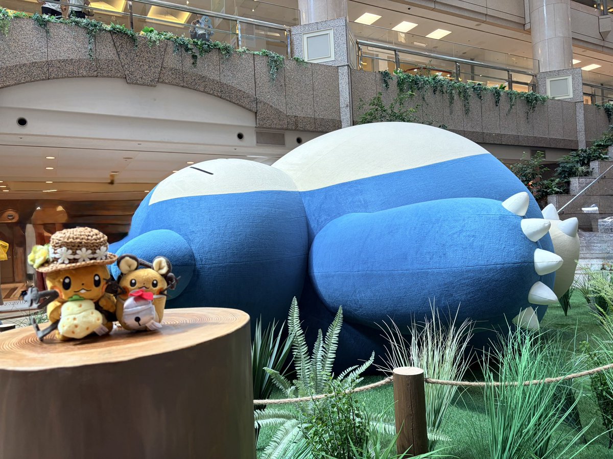 chiffon_pokesle's tweet photo. #ポケスリ3周年をみんなで 

横浜行ってきたぁぁ🚄💨💨

色んな人からポケモン寝ててかわいいーという声が聞こえてきてなんかうれしくなった♡
ほんとにポケスリ世界観よすぎた( ᵒ̴̶̷̥́ωᵒ̴̶̷̣̥̀ )✨
思ってた以上にみんなおっきくて迫力満点💯 https://t.co/q4w4Z1UyAP