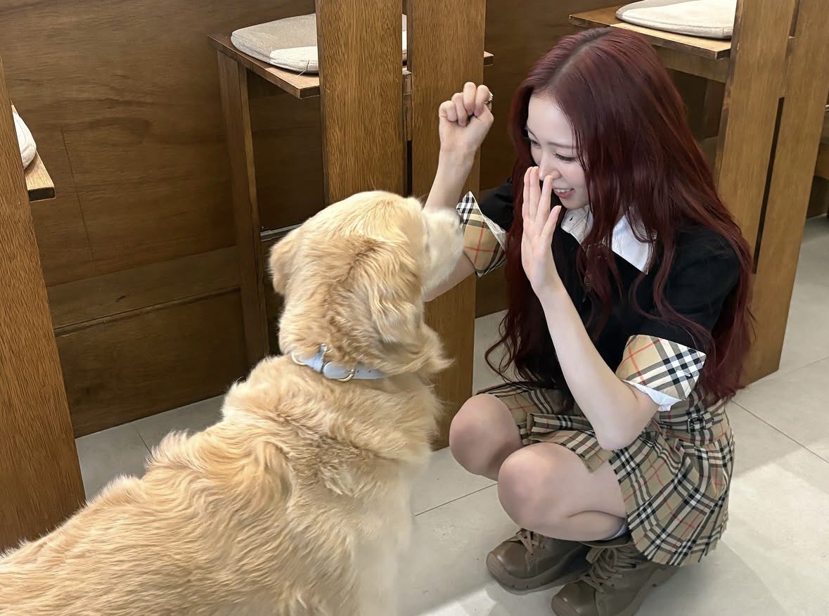 20070815N's tweet photo. てぇてぇ！ https://t.co/g0ueWxCn1C