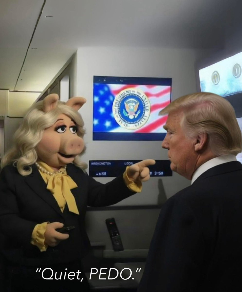 FozonCapital's tweet photo. @BulwarkOnline The only thing fake are your cheap suits and orange hairdo Donnie.

Nobody likes you.

You're a predator.

And you are a pedo.

Just be quiet, Piggy. https://t.co/nTBSuoXVhm