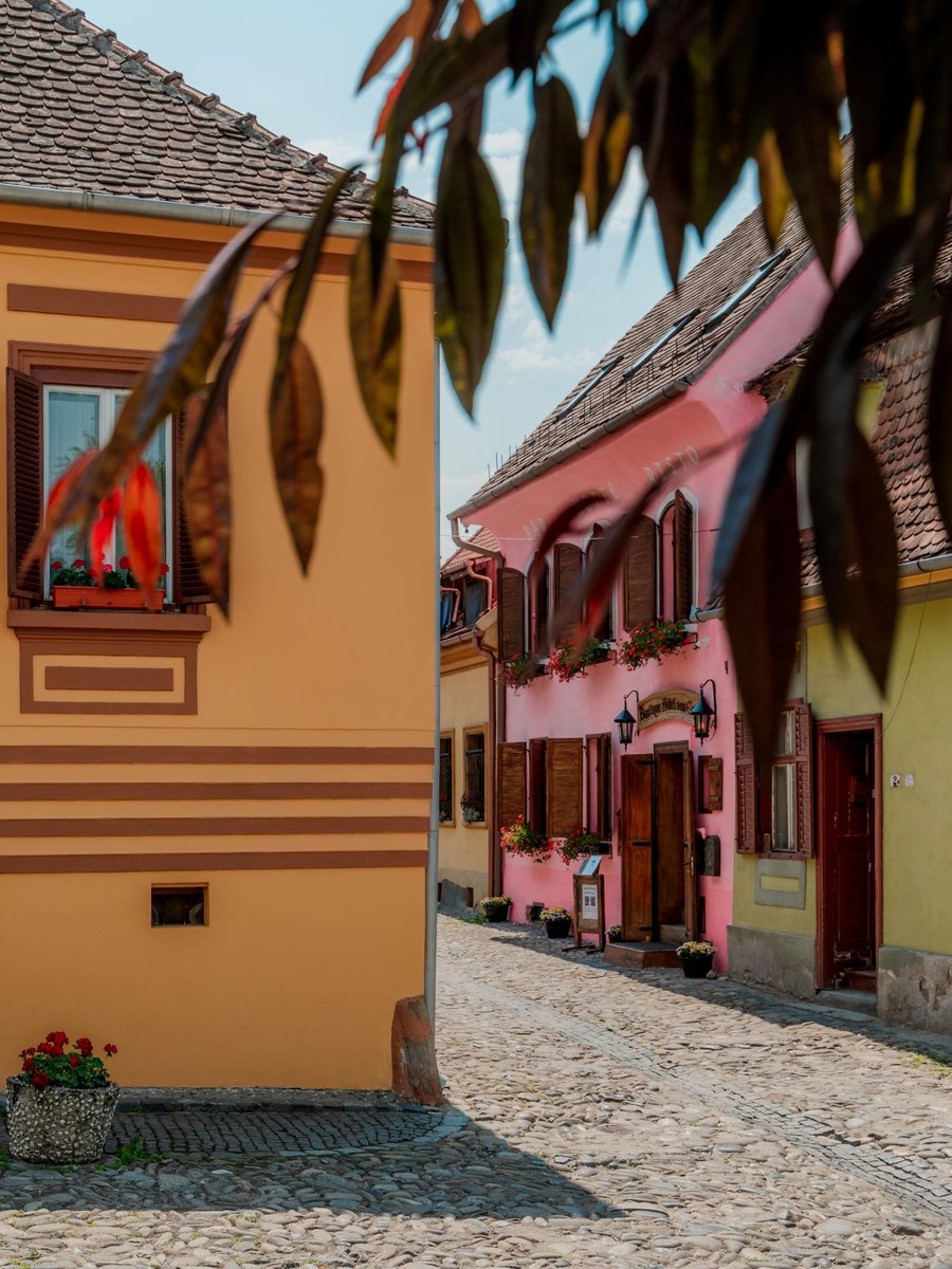 echoesofworld's tweet photo. Transylvania, Romania https://t.co/buDk0HB7gD