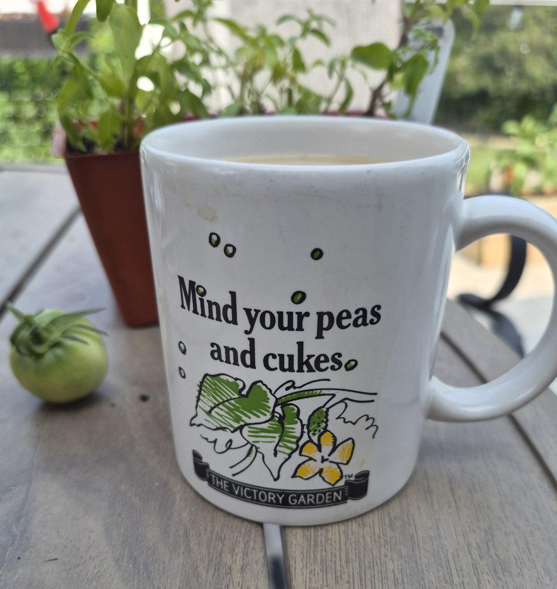 WudntYaLikeTNo's tweet photo. Happy Saturday! π«π₯
#Growsomething https://t.co/DHP2WH3QKT
