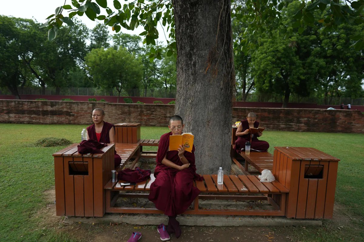 timesofindia's tweet photo. #InPics | Freshly inscribed on the UNESCO World Heritage List, the ancient Buddhist site of Sarnath witnessed a peaceful procession of novice monks, highlighting the site's enduring spiritual significance and global cultural recognition.

Don’t miss the complete coverage - get the TOI App 👉 https://t.co/ogFaRsUKyn

#Sarnath #UNESCO #WorldHeritage #Buddhism #BuddhistHeritage #UttarPradesh #Monks #Culture