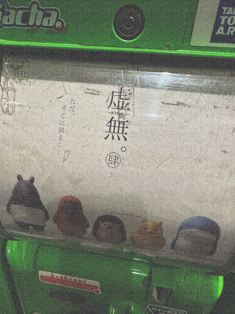 himandum's tweet photo. ツナキムチちゃん寝ナヨー https://t.co/kino4n1EwK