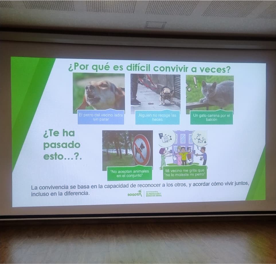 AnimalesBOG's tweet photo. Hoy con la estrategia "En conjunto por los animales" el IDPYBA llegó al colegio Agudelo Restrepo en Ciudad Bolívar, con una charla orientada a convivir con respeto y cuidar con amor.

Bogotá es protección animal.🐾 https://t.co/5AwZSyUVln