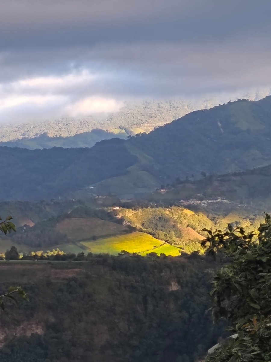 APTNorteEcuador's tweet photo. ℹ️ Compartiendo un resumen de las actividades de esta semana, en la que seguimos caminando junto a las comunidades en la defensa del agua, los bosques y los territorios.

🍃 Síguenos @APTNorteEcuador: 

📹
https://t.co/4pgpfyEv5j

📸 https://t.co/S5EdEbN88B