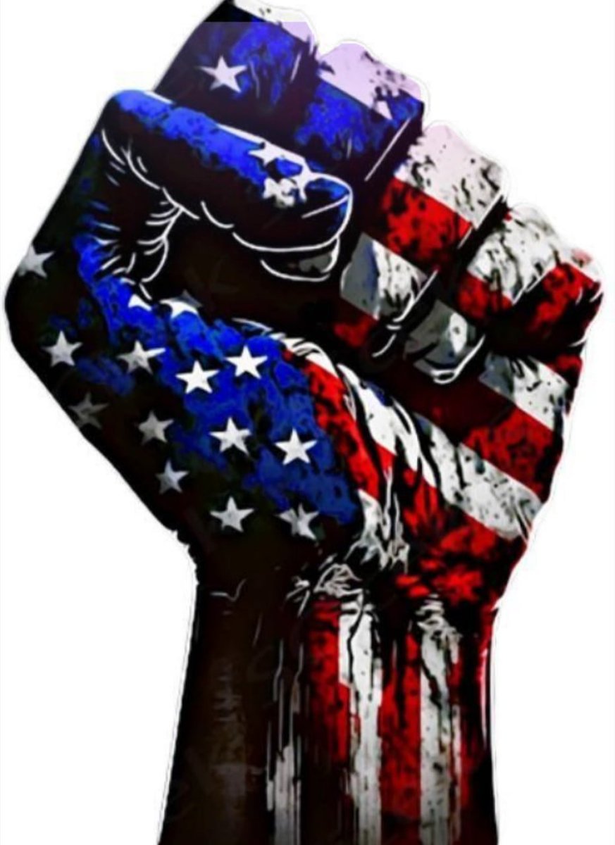Lexi9f's tweet photo. They can’t stop us. They can’t break us. We are the American spirit. MAGA✊ https://t.co/Ka2cWPtUVU