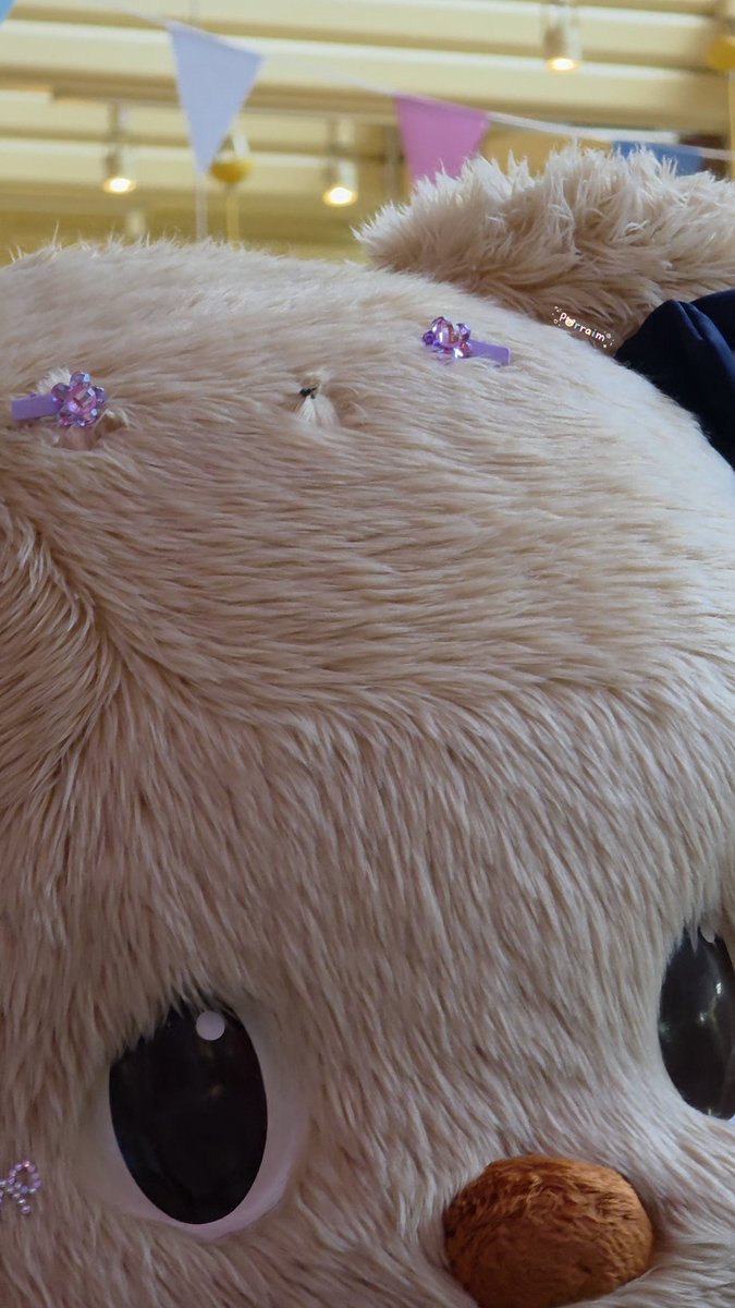 kckwwt's tweet photo. ยังเอ็นดูผมจุกเนยไม่หายเลย
ใช้เวลามัดนานมั้ยลูก 😂

#Butterbear
#ด้อมน้องเนย https://t.co/5ljKB6nx8I