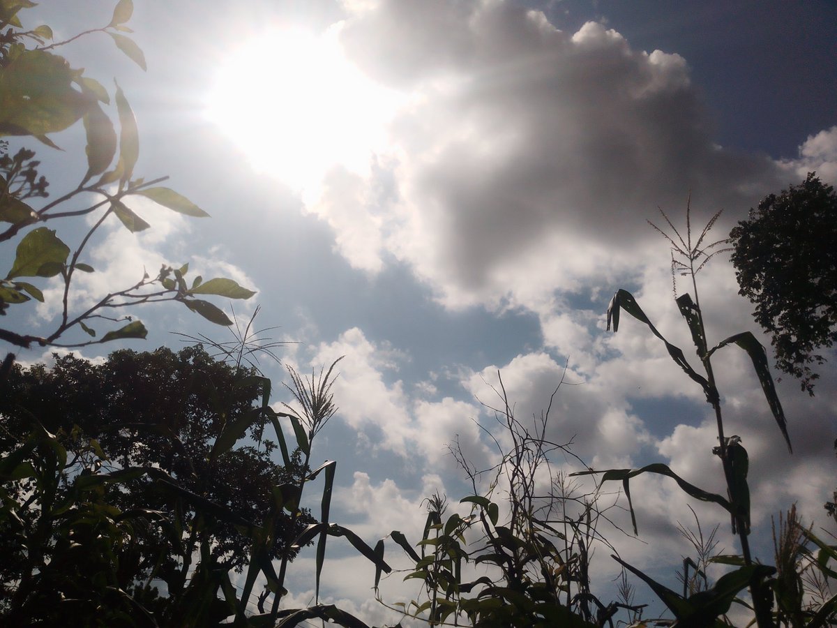Joshdecreator's tweet photo. The beauty of nature
#nature
#naturecall
#abaahjosh https://t.co/9XtVRKvbbp