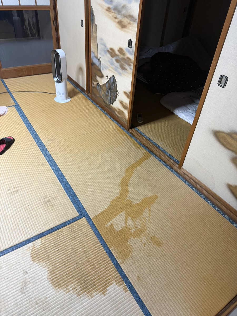 TaRa_Gaki's tweet photo. 勘弁してくれ https://t.co/gf5PP2mD07