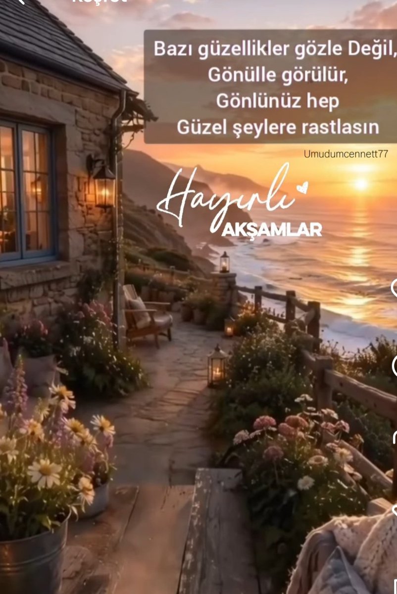 Ayla67 tweet media