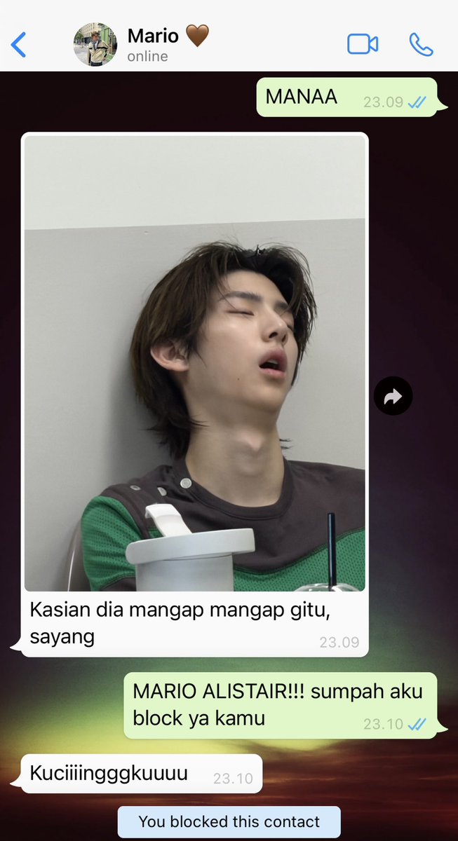 cinamooun's tweet photo. #marhoon au — KALAU ADA DOKSLI GW LANCAR, HALO KUCCIIINGGGG🥺🥺🥺 https://t.co/6OGTsdvWgI