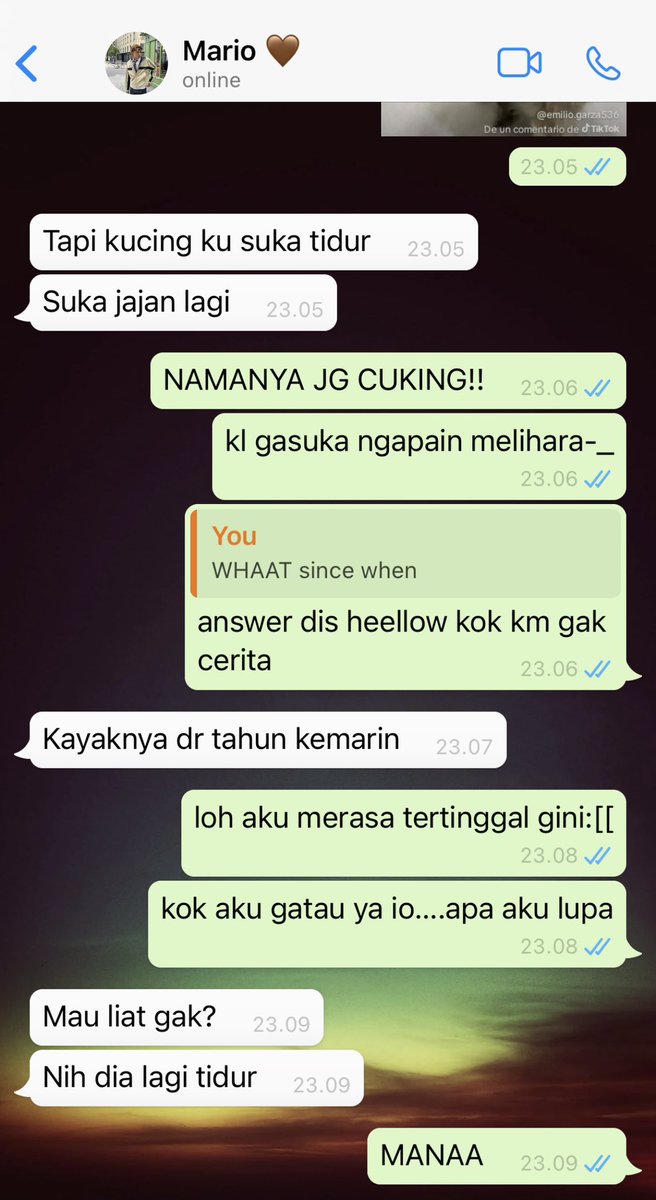 cinamooun's tweet photo. #marhoon au — KALAU ADA DOKSLI GW LANCAR, HALO KUCCIIINGGGG🥺🥺🥺 https://t.co/6OGTsdvWgI