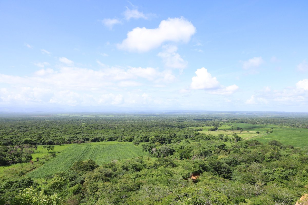 mincomunas_ve's tweet photo. 🌽 La unidad productiva Predio Bijagual, perteneciente a la Comuna Productiva Ezequiel Zamora, en Viento Fresco, Cedeño, estado Monagas, desarrolla una siembra de maíz como parte del Plan Agroalimentario Comunal Reto Admirable 2026. https://t.co/lhTViBWRV2