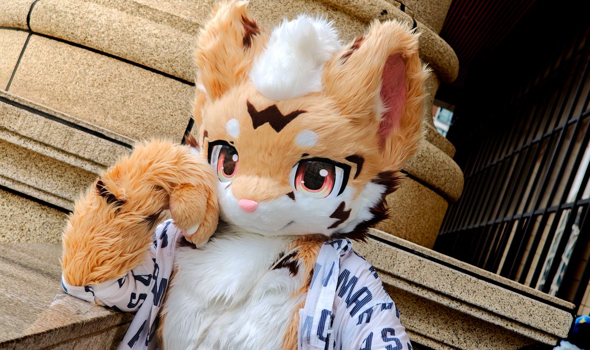 LUOXINGnwn's tweet photo. 一𖥦ᗜ【迟到毛五】#FursuitFriday
吃饭了吗？看看我是不是你的菜~ https://t.co/Pk9WohuQul