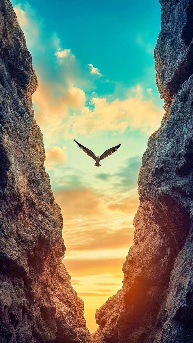 binaghiguigf0v's tweet photo. غذاء 👈 الروح: Come live in 👇 my heart and pay no rent. MOMO https://t.co/XJR4sCH8kG