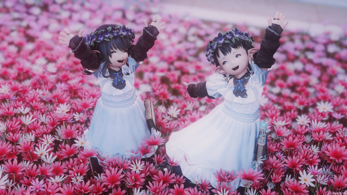 NAGi_Yff14's tweet photo. フレンドのララちゃん撮らせてもらった！
めちゃ可愛い🫶🏻 https://t.co/dwpt3MRDMt