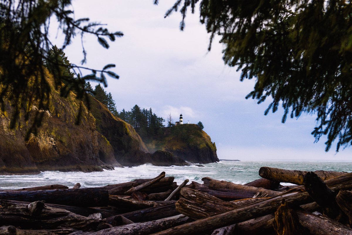 ratgirlhaley's tweet photo. some photos from when i was so heartbroken i lived out of my car and traveled around the PNW for a month. every day id wake up and find a place to hike and take photos. i miss falling asleep to the sound of waves crashing violently on the beach. https://t.co/9s3d9cZY21