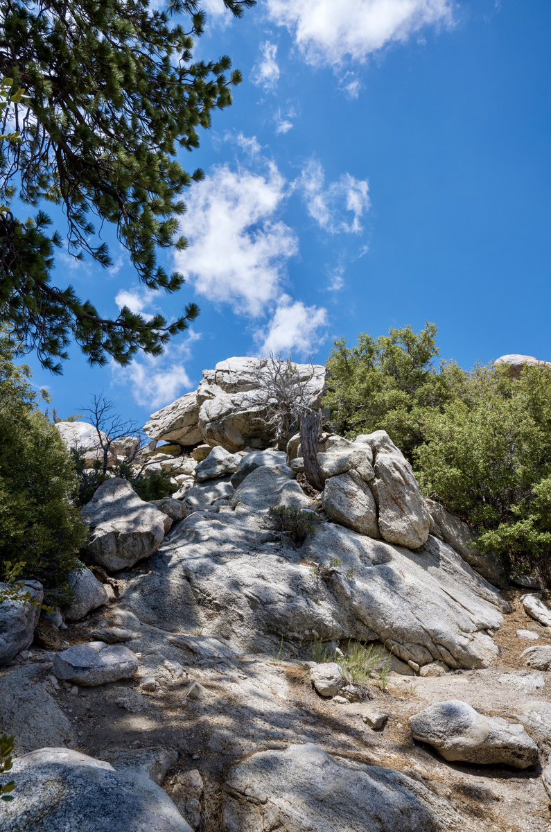 rootbeerphoto's tweet photo. I’ve added more pics to my @500px website - https://t.co/zsqEOdTVaQ #jasonfrostphotography #bakersfield #palmsprings #mountjacinto #landscapephotography #mothernature https://t.co/LEnK2oGjL8
