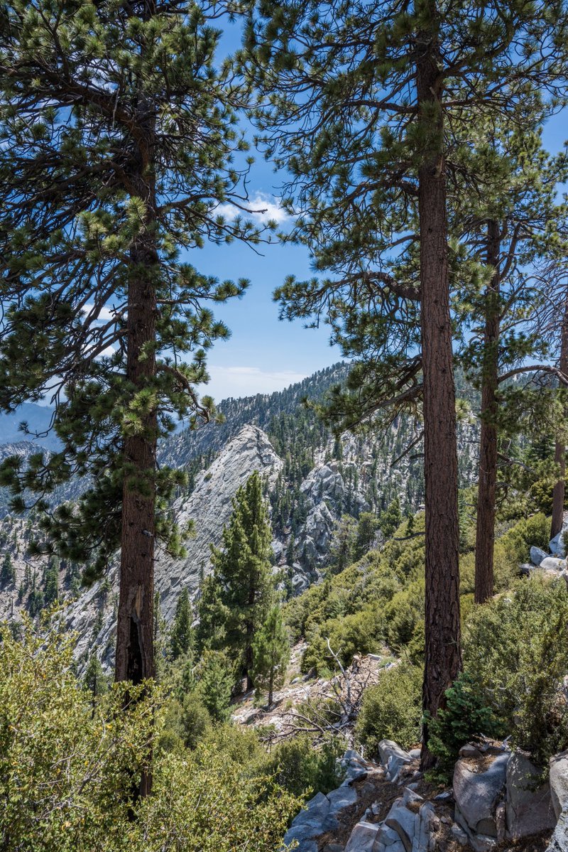 rootbeerphoto's tweet photo. I’ve added more pics to my @500px website - https://t.co/zsqEOdTVaQ #jasonfrostphotography #bakersfield #palmsprings #mountjacinto #landscapephotography #mothernature https://t.co/LEnK2oGjL8