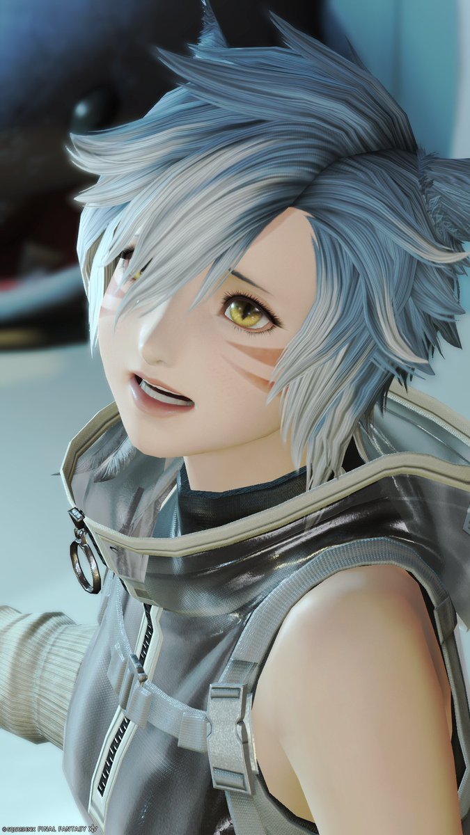 don_maro_'s tweet photo. かわいいのも撮れてたので乗せちゃお！ https://t.co/T2bTCl8Rrf