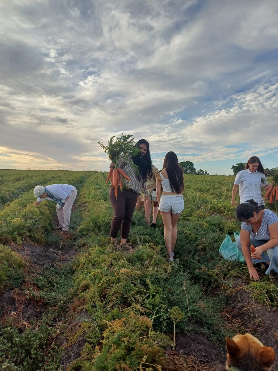fsganga's tweet photo. En el día internacional de la Agricultura Familiar, un saludo a las familias productoras de alimentos de Uruguay y nuestra Latinoamerica. https://t.co/rmRSJjOcBJ
