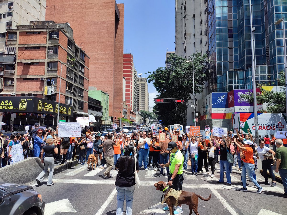 RobertLobo_'s tweet photo. #AHORA Proteccionistas de animales y sociedad civil realizan 'plantón' en la Av. Urdaneta, a la altura de la plaza La Candelaria, para exigir justicia por el asesinato de 'Mariposa", perrita q había sido rescatada de entre los escombros en La Guaira, y fue asesinada a palazos... https://t.co/OKa4AuSXmp