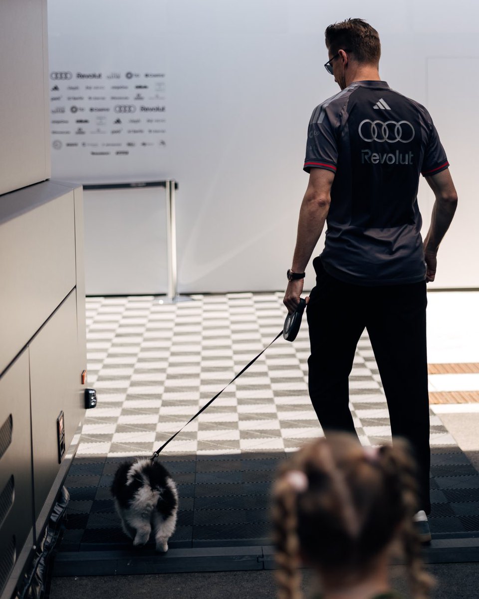 ln4win's tweet photo. zeus hulkenberg knows how to behave and serve unlike SOME paddock dogs https://t.co/BulvVikGL3