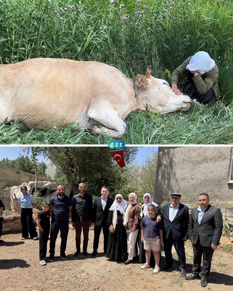 gztcom's tweet photo. 🔴 Teyzemizin artık 8 ineği ve 6 buzağısı oldu 😍

📌 Hakkari'nin Yüksekova ilçesinde merada otlayan ineğinin tepeden yuvarlanarak telef olması nedeniyle büyük üzüntü yaşayan 7 çocuk annesi Ayni Özbek'e, Kaymakam Volkan Hülür tarafından inek ve buzağı hediye edildi https://t.co/RMKjd7ZZt8