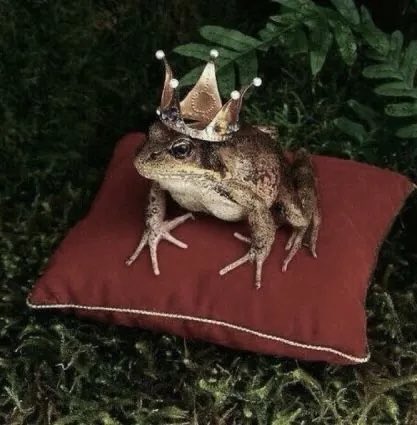 starkdphil's tweet photo. 20: Assistente do vilão 

★★★★★

                                    ☆

“Trystan sentiu um medo genuíno, porque, pela primeira vez em uma década, a ideia não lhe parecia tão ruim.
Mesmo assim, de alguma forma ele sabia que, mais cedo ou mais tarde, Sage seria a sua ruína.” https://t.co/poJEUAu0A3