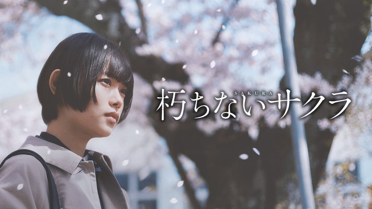 koichiro1116's tweet photo. 『朽ちないサクラ』Prime Video──組織とは何を守るために存在するのかを問う作品

警察の不祥事を題材にしながら、単純な組織批判���は終わらない。現場で責任を負う者の葛藤と矜持、そして真実を追う覚悟を丁寧に描いている。

一人の正義だけでは社会は成り立たず、組織だけでも真実には届かない。その狭間で、人は何を守るべきかを静かに問い続ける。

サスペンスとしても見応えは十分だが、観終えた後に残るのは犯人探しではなく、「社会を支えるとは何か」という余韻だった。