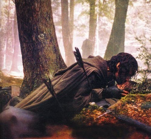 _EruIluvatar_'s tweet photo. I would have followed you, my brother... My captain... My king. https://t.co/mWHuevMi8i