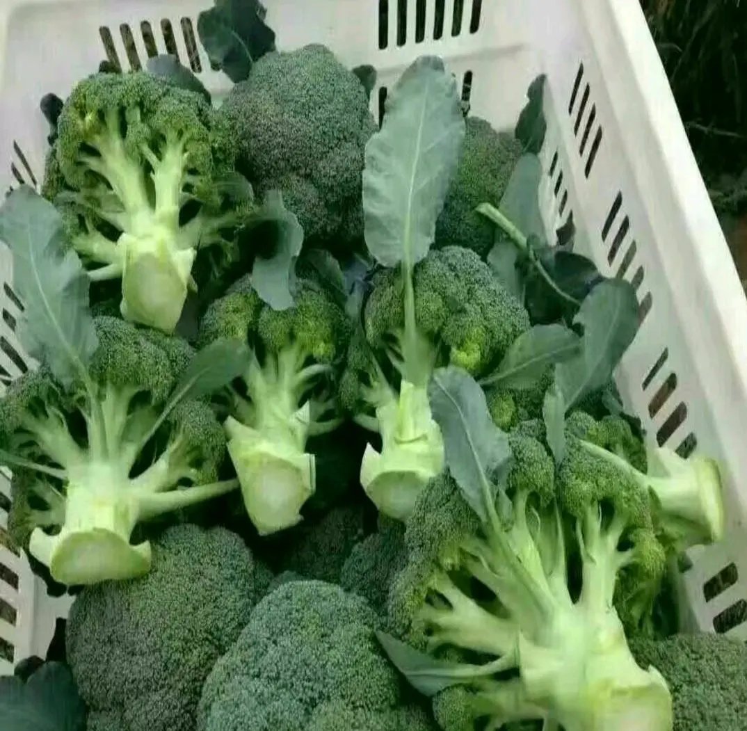 BrookeCooke15's tweet photo. Just grabbed the freshest organic veggies, grass-fed chicken, and a carton of local eggs for this week’s healthy meals  Whole pantry restock done right! https://t.co/PNqnRVGiLN