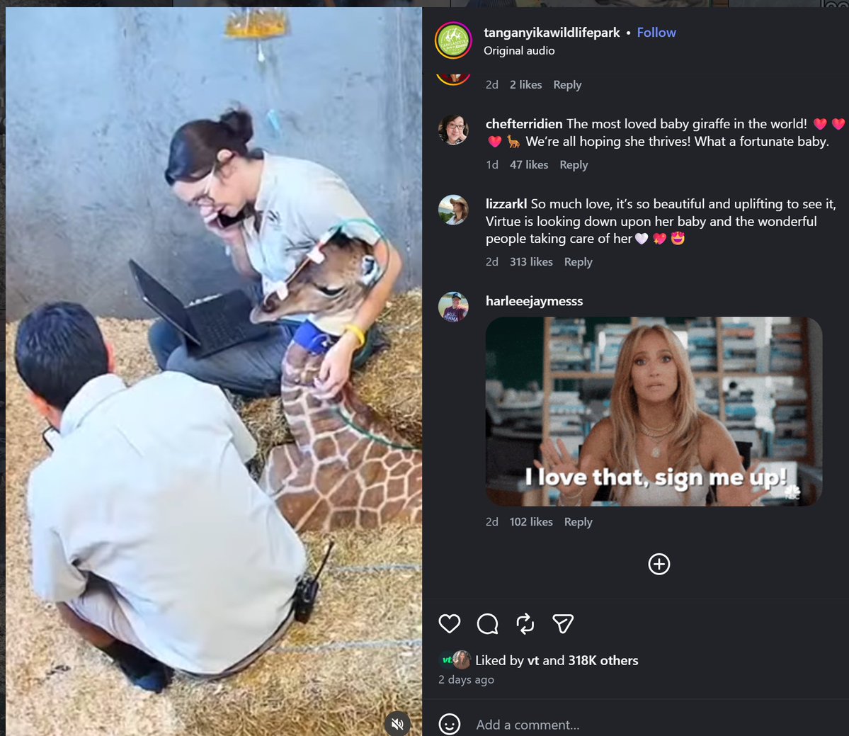 PogNyx tweet media