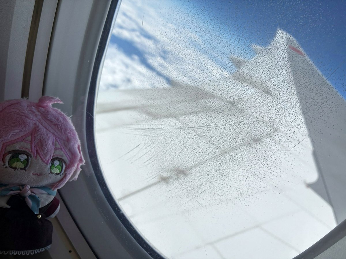 degaleesanp's tweet photo. 城ホ立見行く！！！！しんどいし見えへんくてもやっぱり大橋くんと同じ空間にいたい！！制作開放も諦めへんー❤️🔥！！ https://t.co/RjXCNdlBaH
