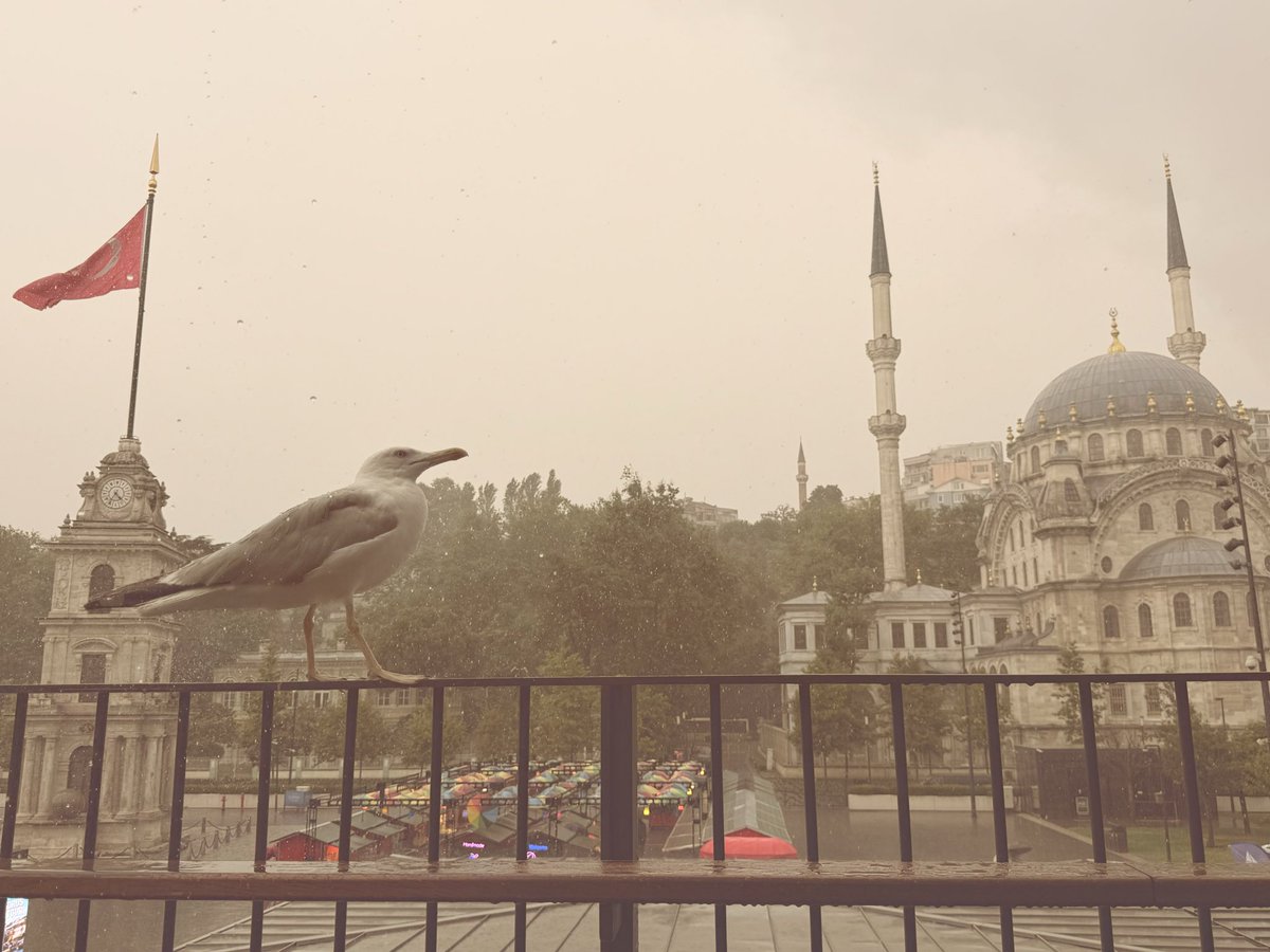 kubraprofill's tweet photo. Bugün, Beyoğlu. https://t.co/ZQDPfHCxQe