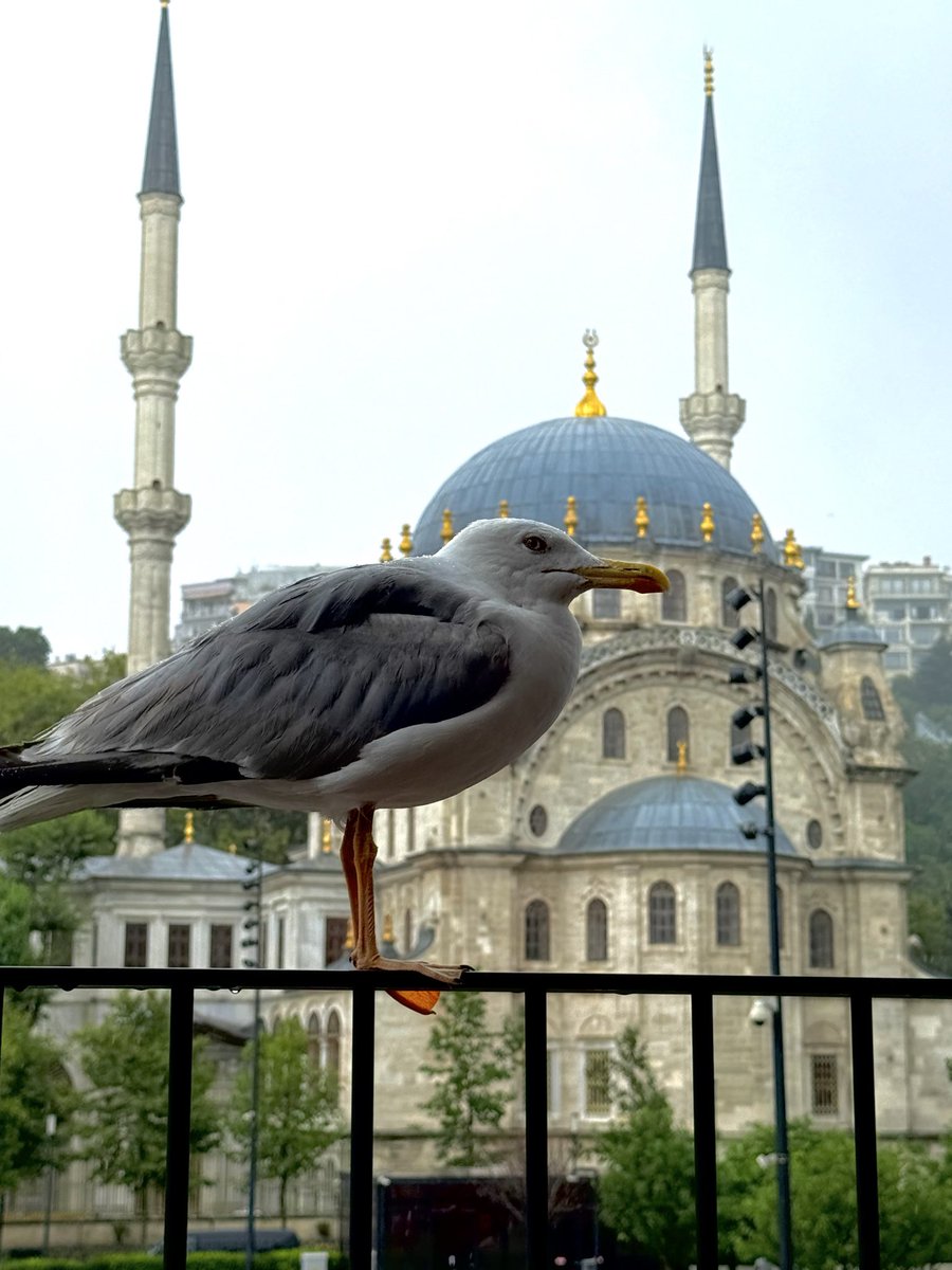 kubraprofill's tweet photo. Bugün, Beyoğlu. https://t.co/ZQDPfHCxQe