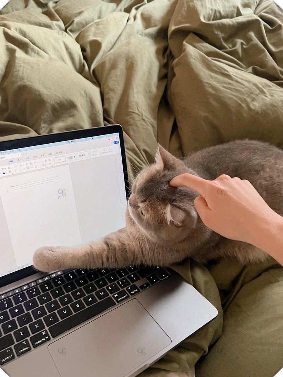 ScottThayer5's tweet photo. Just hit send on my final thesis draft and exhaled so hard I startled my cat. All-nighters, coffee stashes, and panic-induced word vomit led here—WE DID IT! https://t.co/GLu32aAxBU