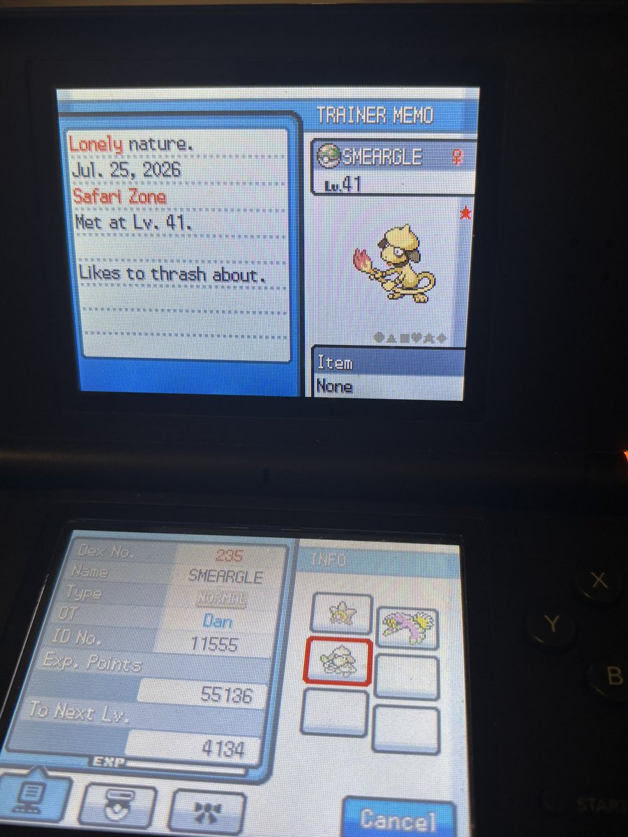 DwardDwardDward's tweet photo. MY FIFTH SHINY IF SAFARI WEEK ALREADY! Shiny Smeargle CAUGHT on the Sixth ball. An absolute dream come true for Safari week and finally a super quick phase #SafariWeek2026 https://t.co/fd5BWxsD5t