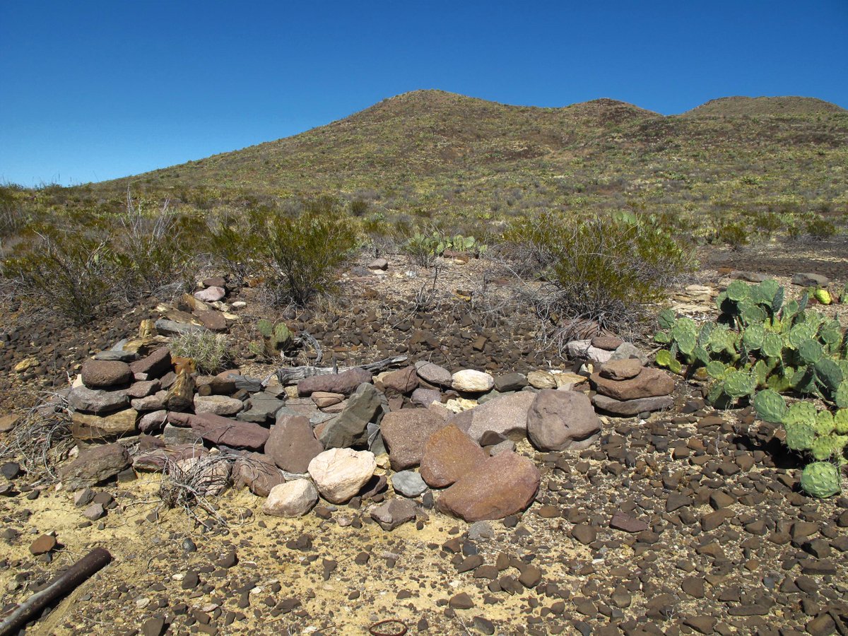 BenHEnglish's tweet photo. SOMEWHERE IN THE LOWER BIG BEND

Many years ago, I heard rumor of a small German POW camp being in this area during World War II. I did not pay too much attention at the time, as I was young and by habit rumors and fables run rampant about such strange events.

One could say they add flavor to a land that is a conundrum of possibilities, remote though they may be.

But recently I heard this story again, coming from someone who knows this country and has familial roots here. He described the location and my memory snapped back to a prowl a few years before, south of Croton Peak.

I was passing through, headed for the Paint Gap Hills via the original Todd Hill cut. While enroute, I stumbled upon relics of a past era that left me scratching my head due to the oddity of it all.

A fairly large encampment had been there, with improvements and building material not often seen in this land at that time. A near vanished dirt road ran north, and following it I found some sort of diggings about a half mile away.

Listening to my acquaintance’s description, I realized this was where he was talking about. So some time later, I journeyed back for a more detailed look.

Now unusual sights and locales seem to be the norm when near Croton Spring, as the availability of reliable water has attracted different cultures since man first ventured into the lower Big Bend. Signs of the Ancients abound, as well as those of more recent inhabitants.

As I examined the locale in question, my mind crowded with much the same. There were large timbers scattered about, as well as bits of window glass and more of the aforementioned concrete foundations. Also present were bits of wire, rusting cans, remnants of a rock structure, bent and disfigured water pipes and other sorts of castaway paraphernalia.

There was also more than one road, a network of such was running through the abandoned encampment. An encampment, by the way, that gave evidence to dozens of people living here.

Another real oddity was once finished doing so, a concentrated effort was made to obliterate what had been constructed. The concrete foundations and slabs were buckled and smashed into heaps. Not a straight water pipe was to be found, nor a complete board or section of wood.

Everything present had been turned into so much junk, unusable for any future design. The diggings to the north had been filled in, with little remaining save for some broken timbers, and a fifty-five gallon drum cut in half for the extraction of soil.

The only structure left to the elements is the dwelling in the photograph, which is in itself just as odd as the others being so thoroughly uprooted. Further research and questions led to furrowed eyebrows and more questions directed back. Not one piece of documentation has been unearthed, nor any written clue as to the intended purpose.

Was it really some sort of POW camp?

At first glance the whole idea sounds outlandish at first glance, best placed in the category marked aliens, monsters, spooks, secret UFO bases, lost lodes of treasure and whatever else that might fit.

However I do know there was a German POW camp at Fort D. A. Russell during the war, and as with any other detention facility, I am certain they had their problem children.

In this case it would have been the die hard, fanatical fringe of Nazis. Those who attempted to dominate the camps even to the point of murdering fellow POWs, who were judged less than true believers.

That much is documented in the pages of history and occurred repeatedly, along with escape attempts numbering into the thousands. And frankly, I can’t think of a better spot to iron out some habitual troublemakers.

Again, a lot of questions with no answers and no eyewitnesses stepping forward to tell the tale.

Save for this desert, and as usual she is not fond of speaking of her long-held secrets.

God bless to all,

Ben

Ben H. English
Alpine, Texas

USMC: 1976-1983
THP: 1986-2008
HS Teacher: 2008-2010

Author of ‘Yonderings’
‘Destiny’s Way’
‘Out There: Essays on the Lower Big Bend’
‘The Uvalde Raider’
‘Black And White: Tales of the Texas Highway Patrol’
‘¡Cristeros!’

Facebook: Ben H. English
Webpage: https://t.co/dRL9RoJxGW
X: Ben H. English

‘Graying but still game.’