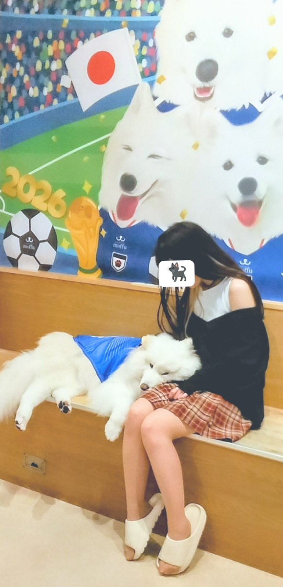 ねこ tweet media