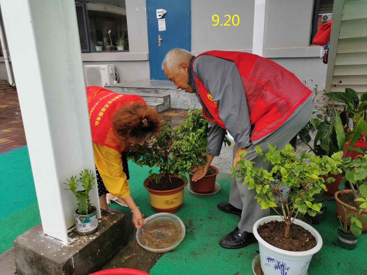 BrazeeWanda's tweet photo. Join our weekend community garden clean-up this Sat 9am at Central Park! Tools u0026 snacks provided. Bring friends to green our neighborhood! https://t.co/9hBxY7bgPx