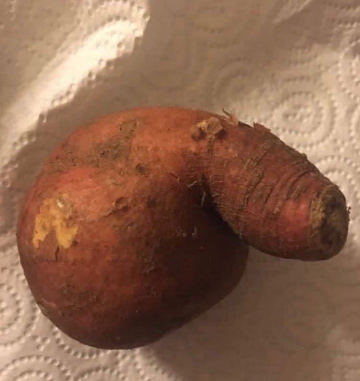 Helen_6793's tweet photo. @mmx_my37285 Sweet potato https://t.co/E7HESM87HC