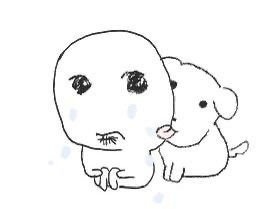초화 tweet media
