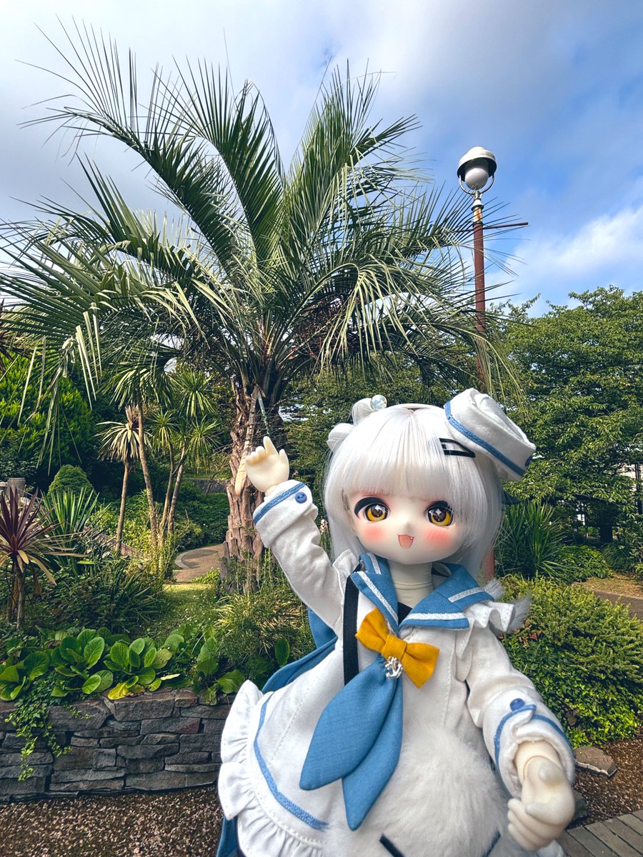 ドール