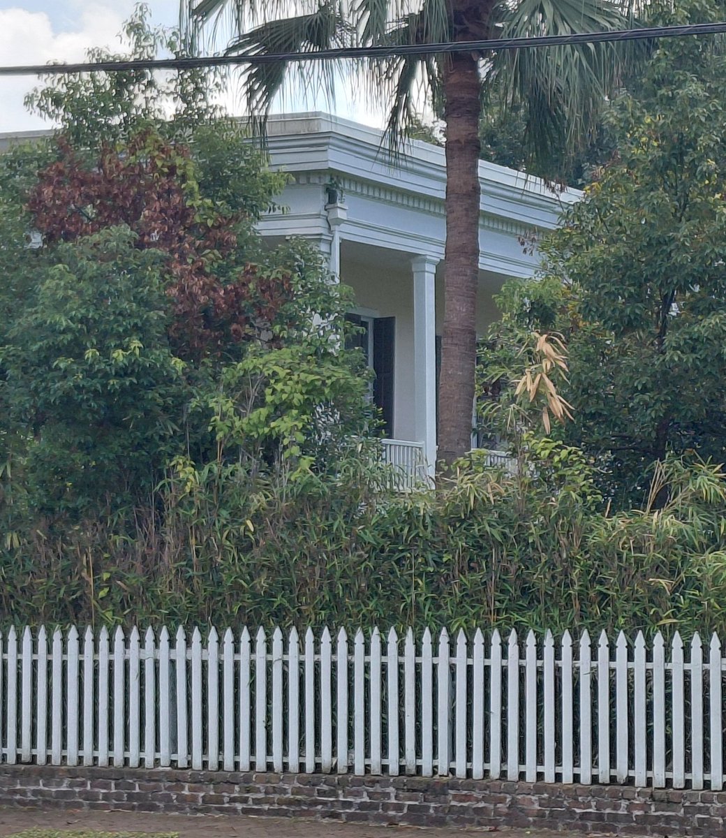 nolacampanella's tweet photo. New Orleans' Garden District as it would have appeared in the 1830s-1850s: villa-like neoclassical mansions and townhouses, set back on oversized lots, ensconced behind greenery, and surrounded by picket fences. https://t.co/lFzcvknMyf