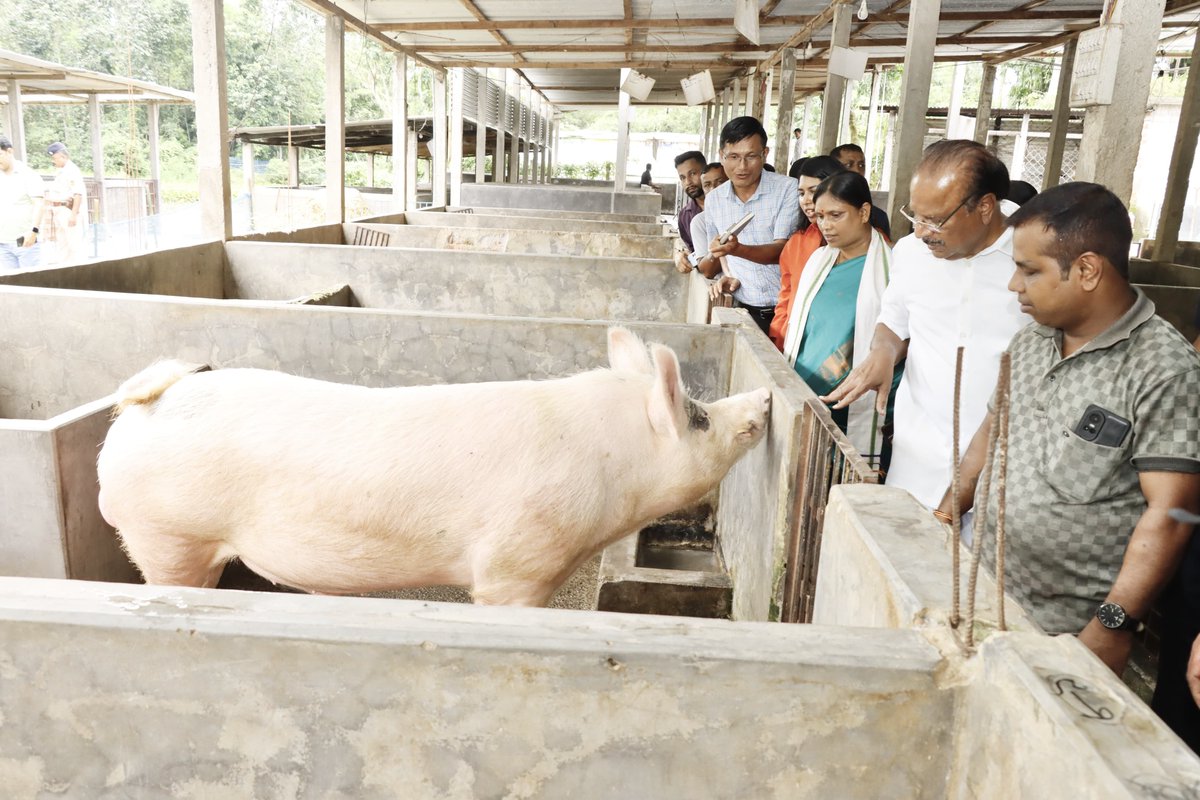 TripuraGovernor's tweet photo. Hon'ble Governor Shri Indra Sena Reddy Nallu  visited the Debnath Pig farm and enterprise of Rupam Debnath at Jubarajnagar  R.D. Block in North Tripura District. https://t.co/MypiPKNLU6